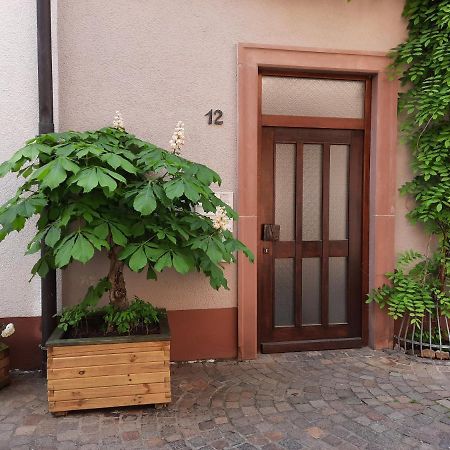Apartmán Alte Bahnhofstrasse 12 Karlstadt Exteriér fotografie