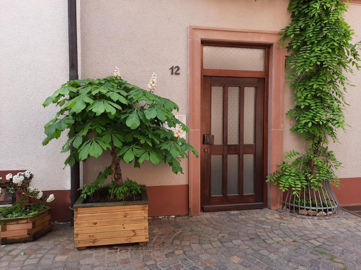 Apartmán Alte Bahnhofstrasse 12 Karlstadt Exteriér fotografie